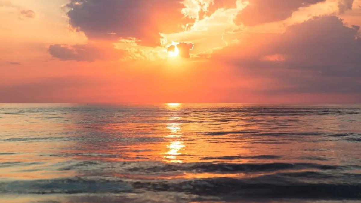 Check in khu du lịch sinh thái hồ Bể hoang sơ Sóc Trăng